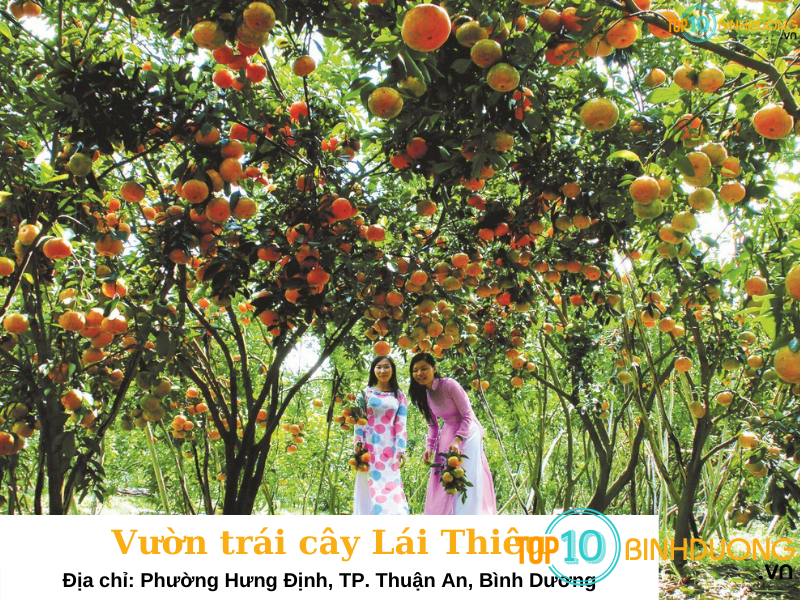 Vườn trái cây Lái Thiêu