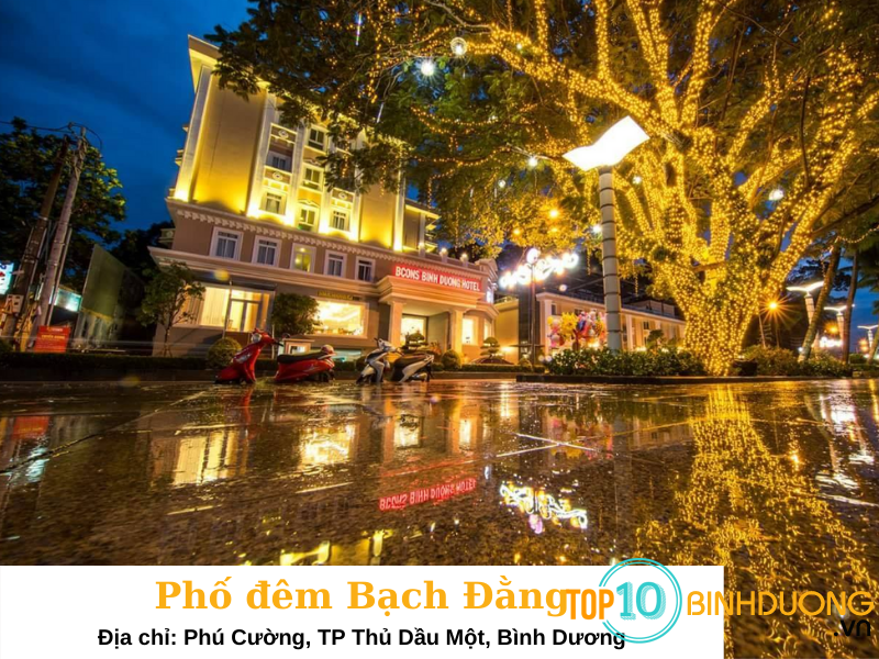 phố đêm Bạch Đằng