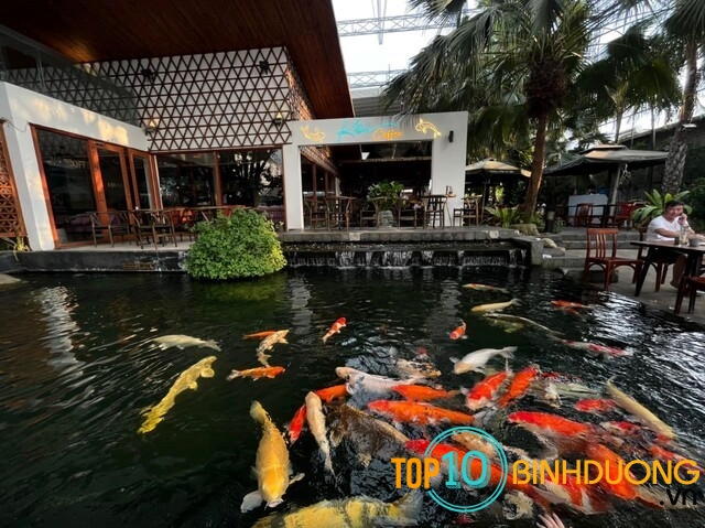 KOI Cafe – Quán cafe đẹp tại Dĩ An