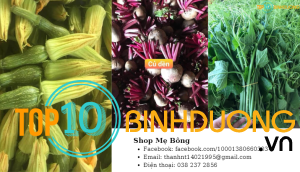 Shop Mẹ Bông