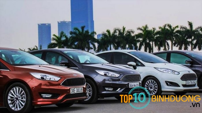 Top 10 Dich Vu Cho Thue Xe Hoa Tai Binh Duong1