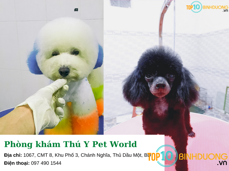 Phòng Khám Thú Y Pet World - Bình Dương