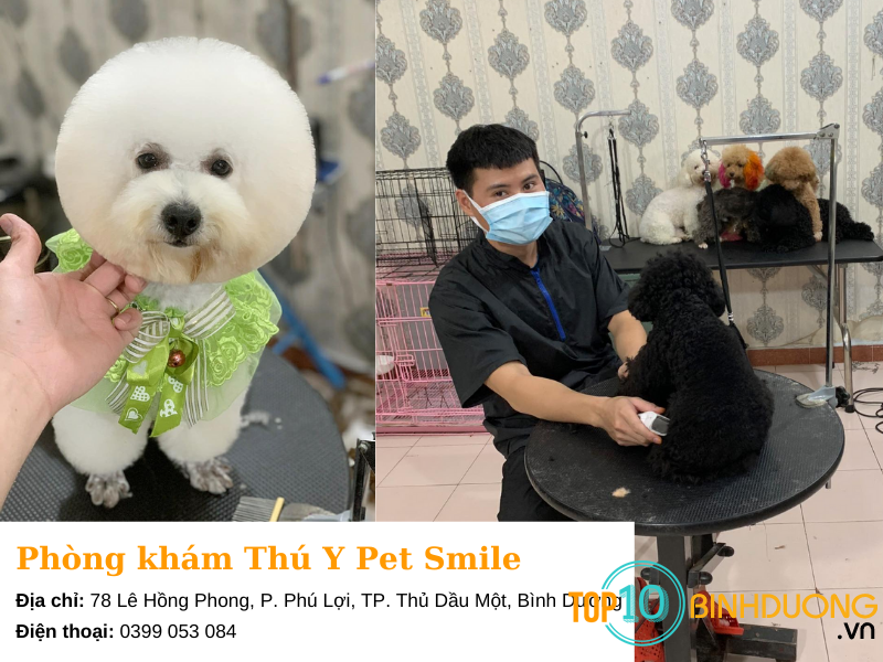 PET SMILE - Bình Dương