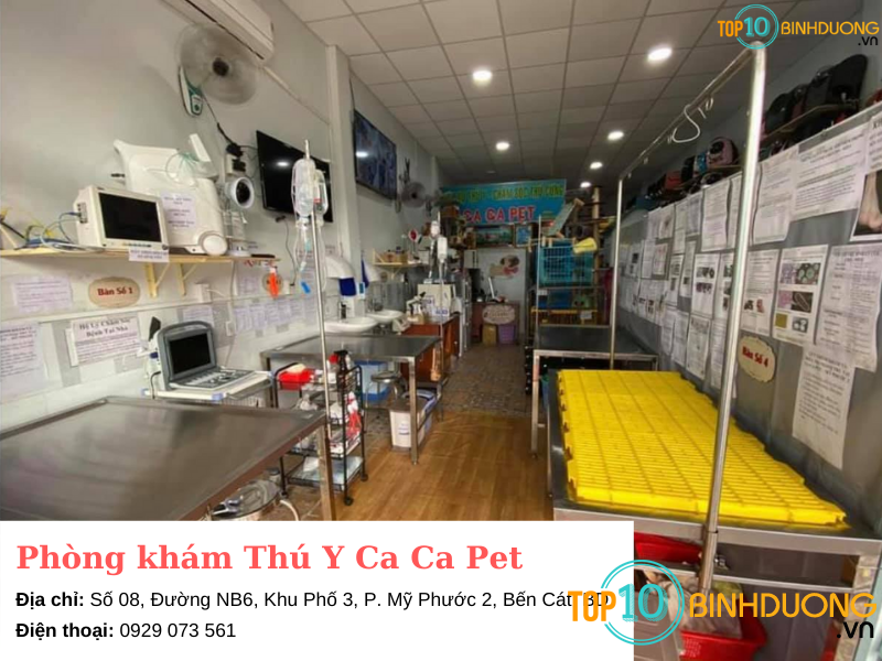 Dịch Vụ Thú Y Ca Ca Pet