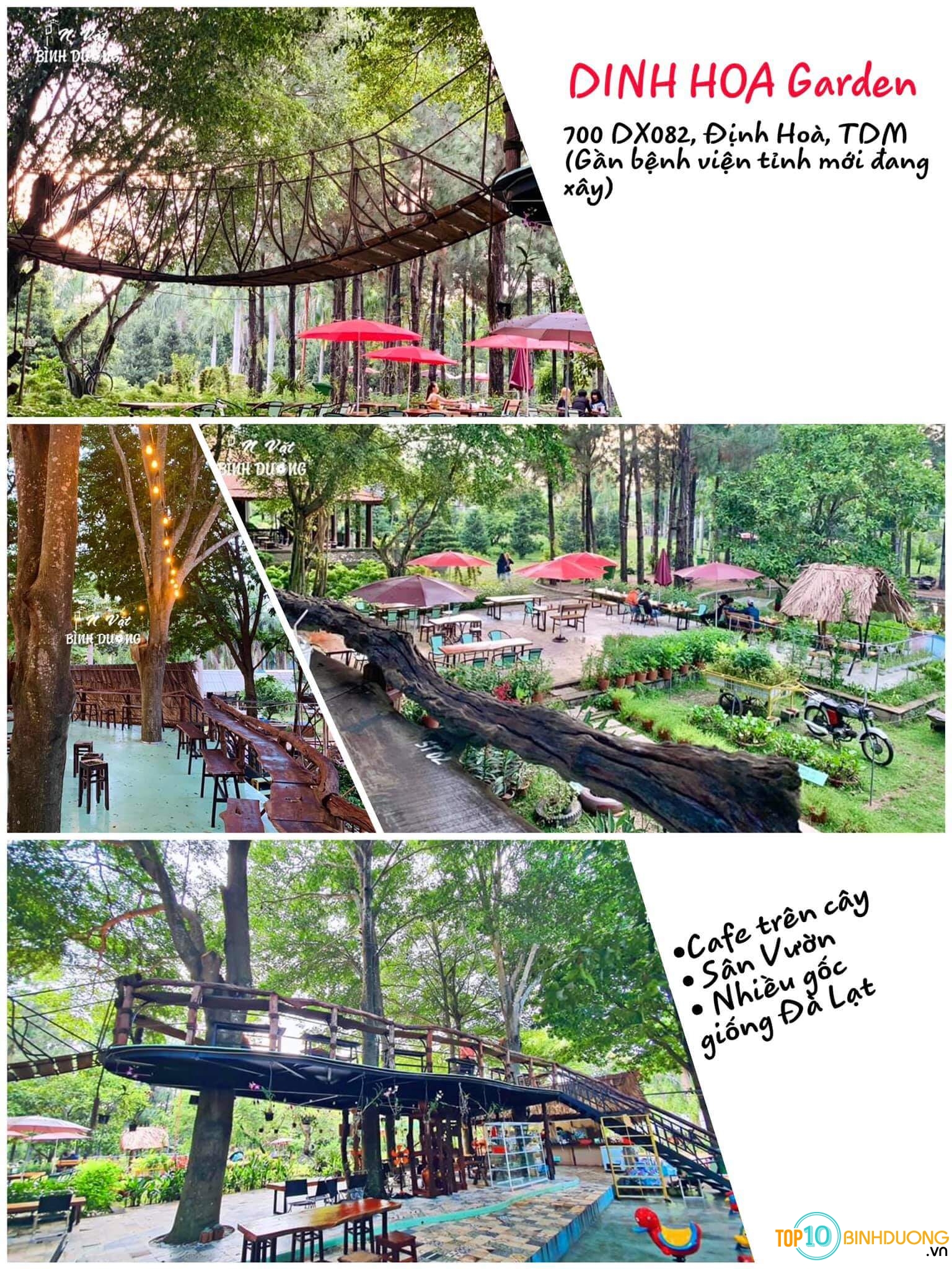 quán cafe view đẹp tại bình dương