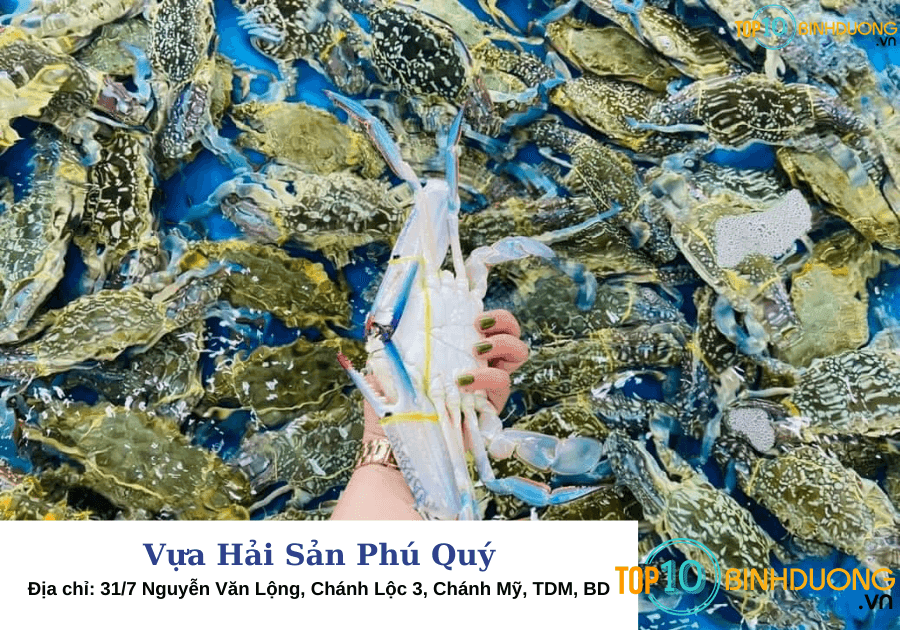 Vựa hải Sản Phú Quý - Bình Dương