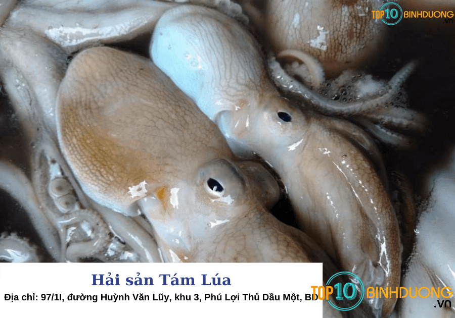 Hải sản Tám Lúa