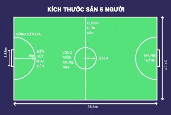 Kích thước sân bóng đá 5 người theo tiêu chuẩn FIFA