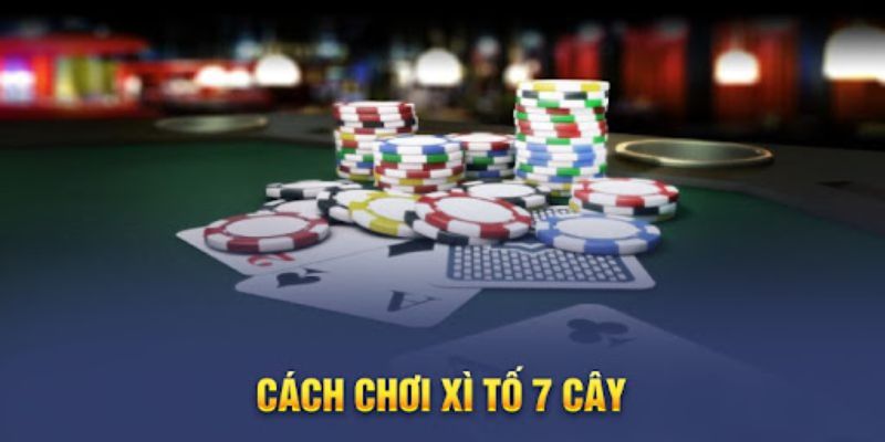 Cách chơi Poker 7 lá cơ bản và kinh nghiệm chơi hiệu quả