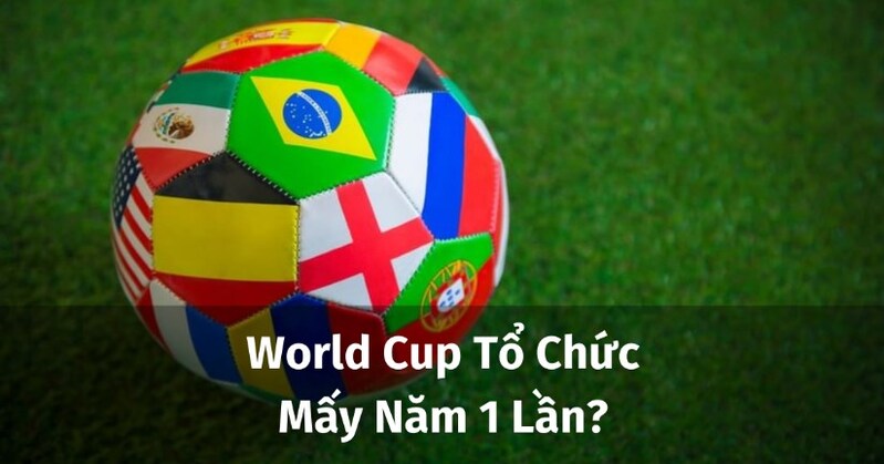World Cup mấy năm một lần? Giải đáp chi tiết